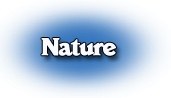 nature photo sardaigne